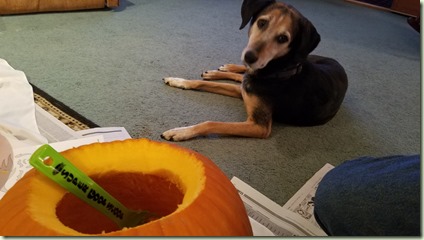 20181028_183727_resized