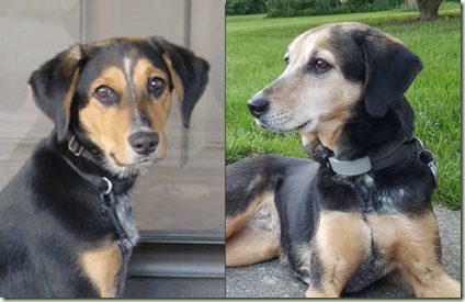 zoe20072018