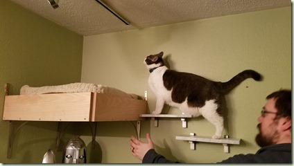 20180128_181934_resized