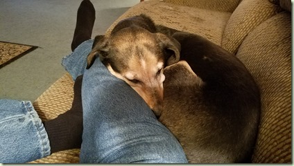 20171206_204914_resized_2
