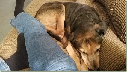 20171206_210535_resized_2