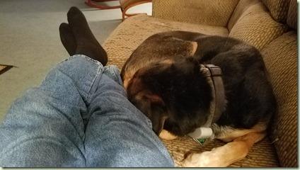 20171206_212251_resized_2
