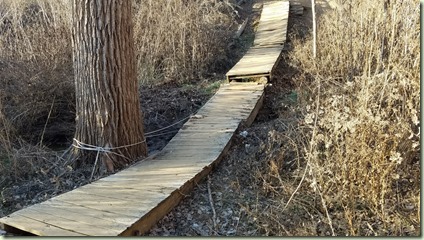 20180105_161648_resized