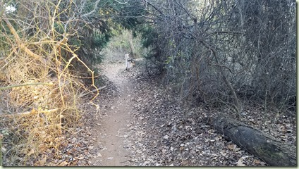 20180105_170118_resized