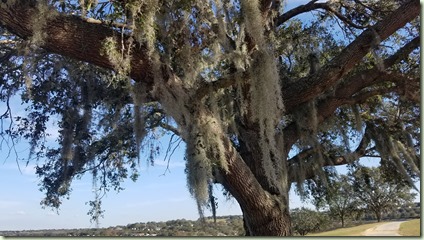 20180206_154737_resized