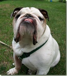 zoemrwrinkles