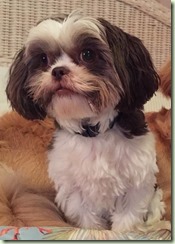 zoewinston