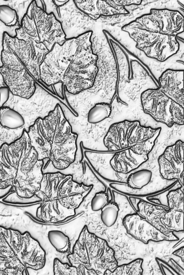 Tim Holtz® Alterations | 3-D Texture Fades™ Embossing Folder - Acorns