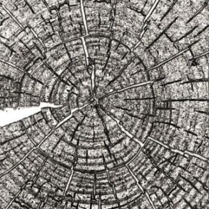 Tim Holtz® Alterations | 3-D Texture Fades™ Embossing Folder - Tree Rings