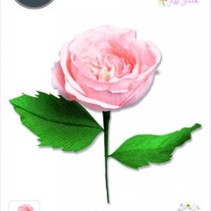 Sizzix Thinlits Die Set 7PK - Garden Rose