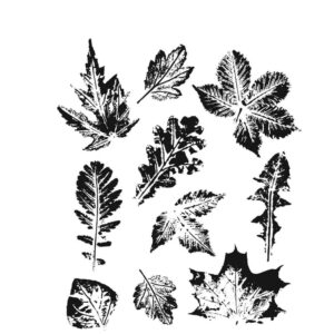 Tim Holtz® Stampers Anonymous Cling Mount Sets -- Leaf Prints 2 CMS450