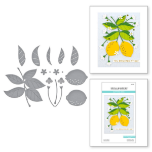 Lemon Zest Etched Dies S4-1173