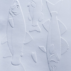 Memory Box Freshwater Fish 3D Embossing Folder and Matching Dies EF1028