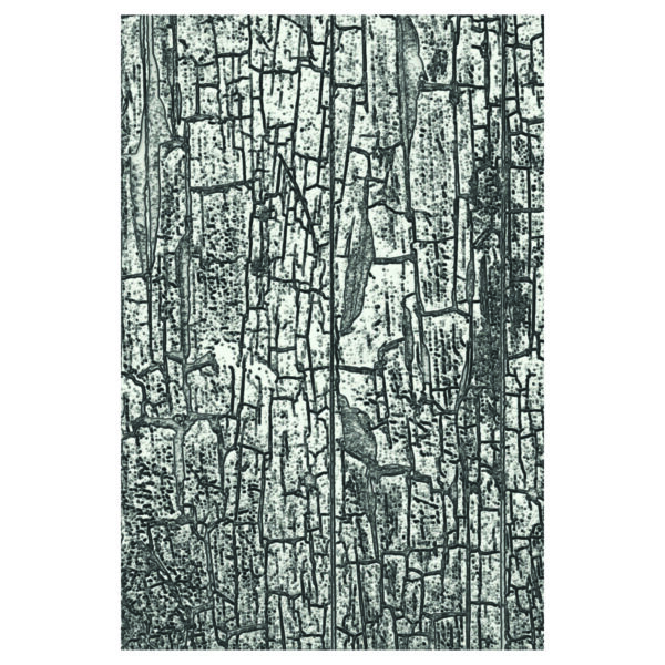 Tim Holtz® Alterations | 3-D Texture Fades™ Embossing Folder - Cracked - Image 2