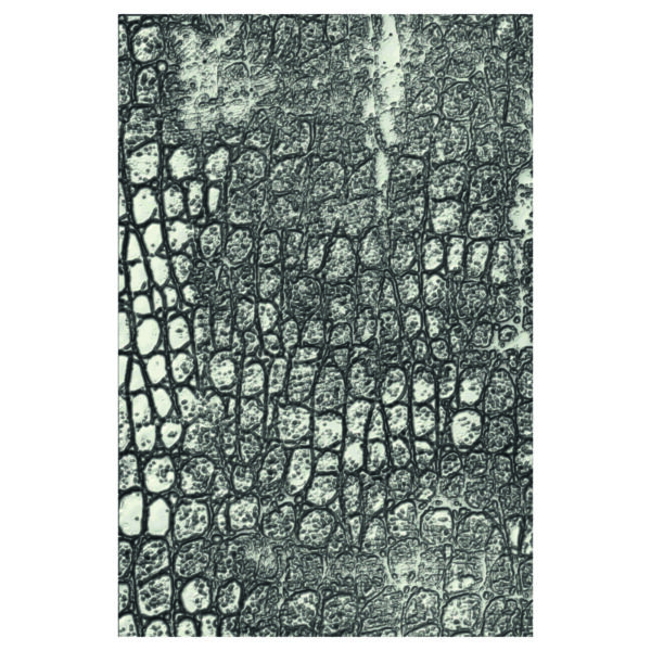 Tim Holtz® Alterations | 3-D Texture Fades™ Embossing Folder - Reptile - Image 2