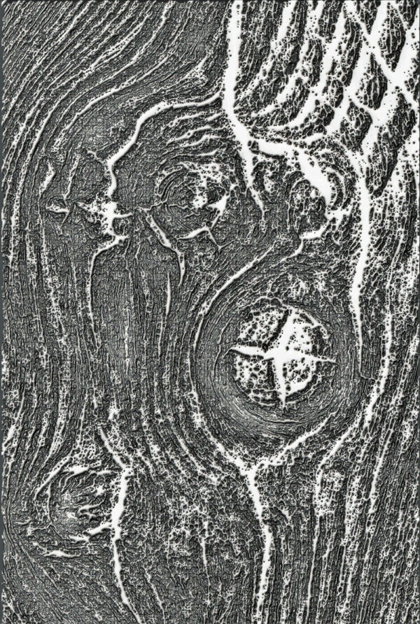 Tim Holtz® Alterations | 3-D Texture Fades™ Embossing Folder - Woodgrain - Image 2