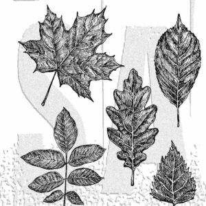 Tim Holtz® Stampers Anonymous Cling Mount Sets -- Sketchy Leaves CMS467