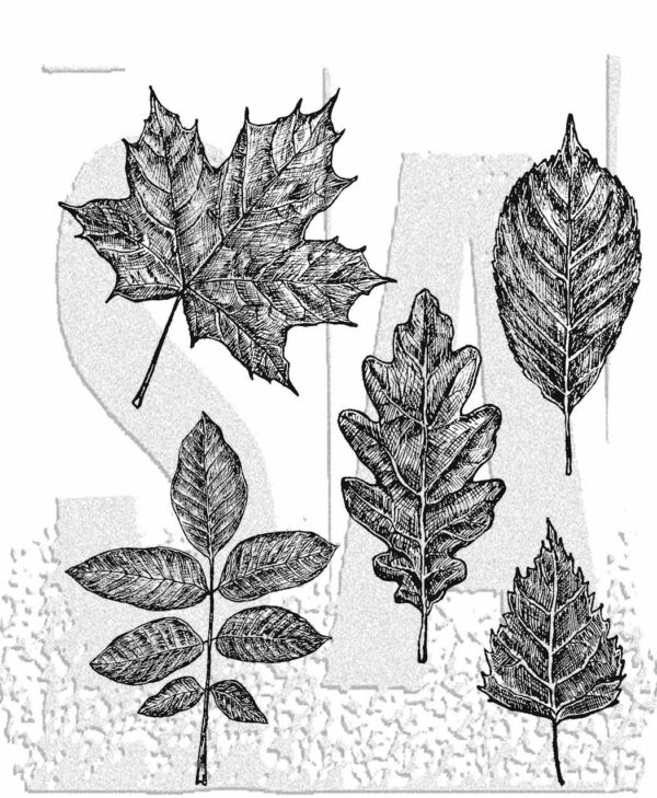 Tim Holtz® Stampers Anonymous Cling Mount Sets -- Sketchy Leaves CMS467