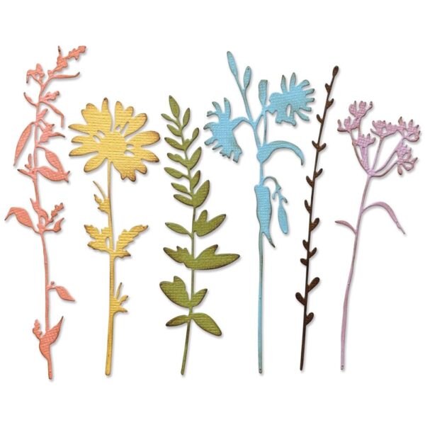Tim Holtz® Alterations | Sizzix Thinlits™ Die Set 6PK - Vault Wildflowers - Image 2