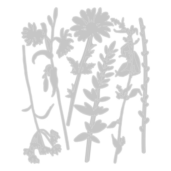 Tim Holtz® Alterations | Sizzix Thinlits™ Die Set 6PK - Vault Wildflowers - Image 3