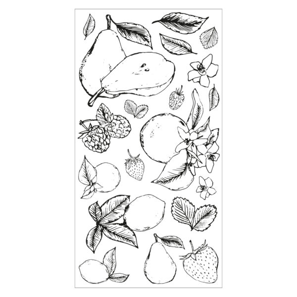 Sizzix Clear Stamps Set 19PK – Botanical Fruit By Lisa Jones