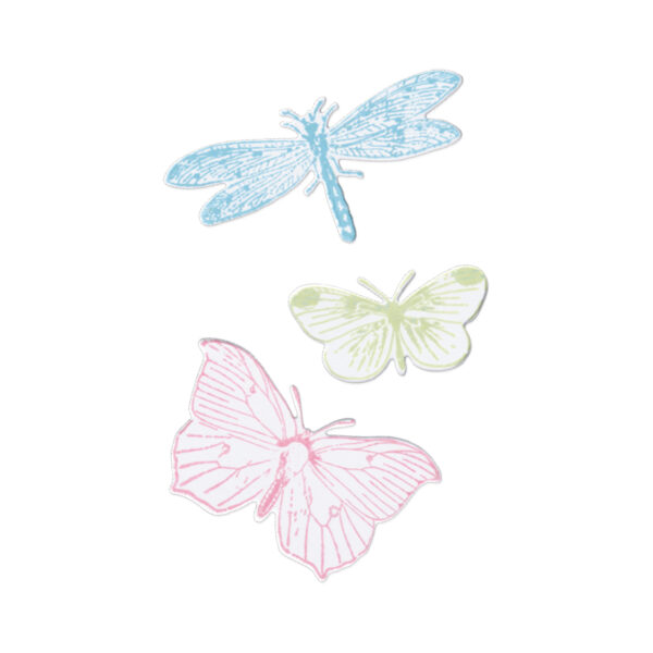Sizzix® Framelits® Die Set 3PK w/3PK Stamps - Engraved Wings by 49 and Market - Image 2