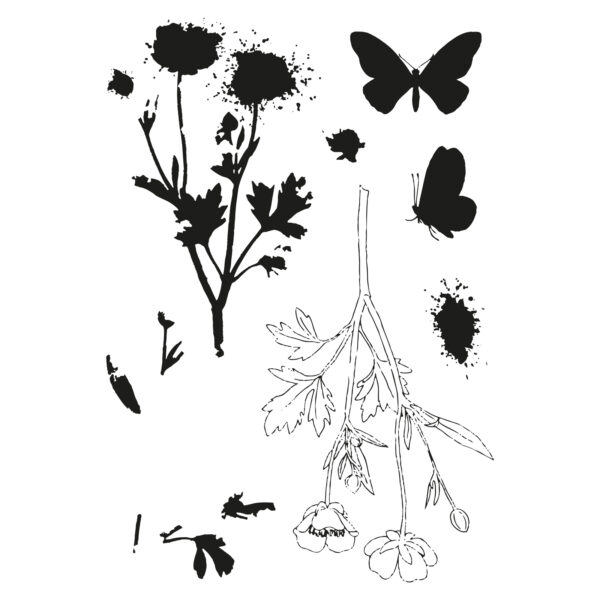 Sizzix™ A5 Clear Stamps Set 7PK w/ Framelits® Die Set Painted Pencil Botanical by 49 and Market - Image 3