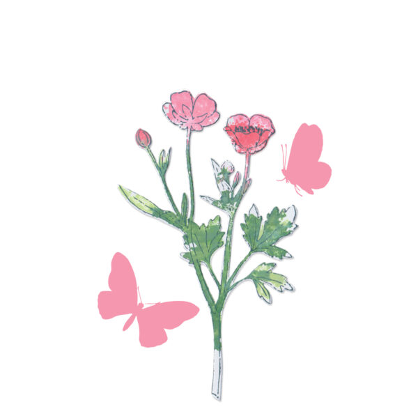 Sizzix™ A5 Clear Stamps Set 7PK w/ Framelits® Die Set Painted Pencil Botanical by 49 and Market - Image 2