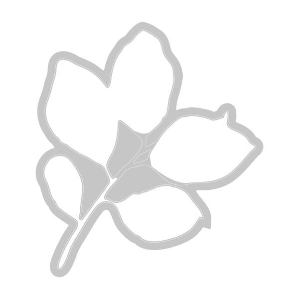 Sizzix™ A5 Clear Stamps Set 11PK w/ Framelits® Die Set Painted Pencil Leaves by 49 and Market - Image 4