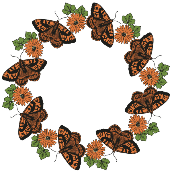 Sizzix Clear Stamps Set 13PK – Nature Butterflies By Lisa Jones - Image 2