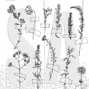 Tim Holtz® Stampers Anonymous Cling Mount Sets -- Forgotten Garden CMS481