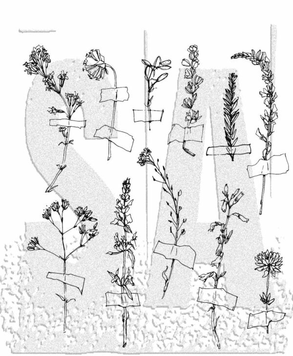 Tim Holtz® Stampers Anonymous Cling Mount Sets -- Forgotten Garden CMS481