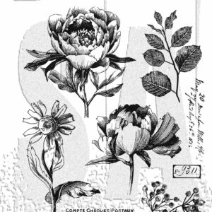 Tim Holtz® Stampers Anonymous Cling Mount Sets -- French Garden CMS487