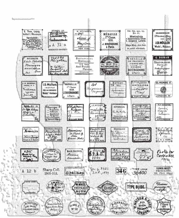 Tim Holtz® Stampers Anonymous Cling Mount Sets -- Curator CMS493