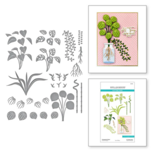 Propagated Plants Etched Dies