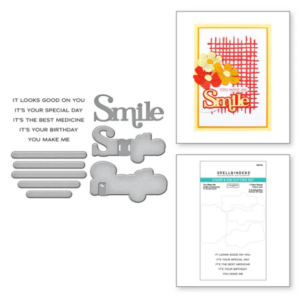 You Make Me Smile Sentiments Clear Stamp and Die Set