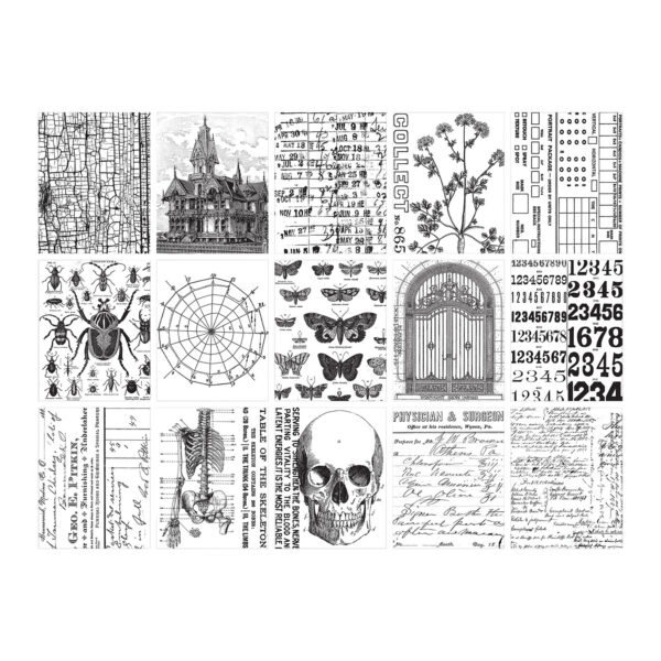 Tim Holtz® Idea-ology™ Paperie - 2024 Halloween Collage Paper - Image 3