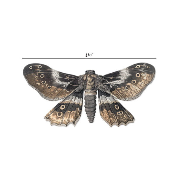 Tim Holtz® Idea-ology™ Paperie - 2024 Halloween Transparencies, Moths - Image 2