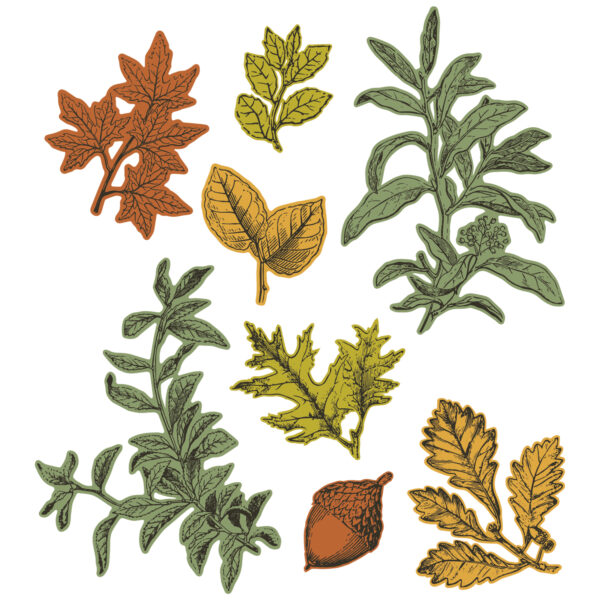 Sizzix A5 Clear Stamps 8PK w/8PK Framelits Die - Forever Leaves by 49 and Market - Image 2