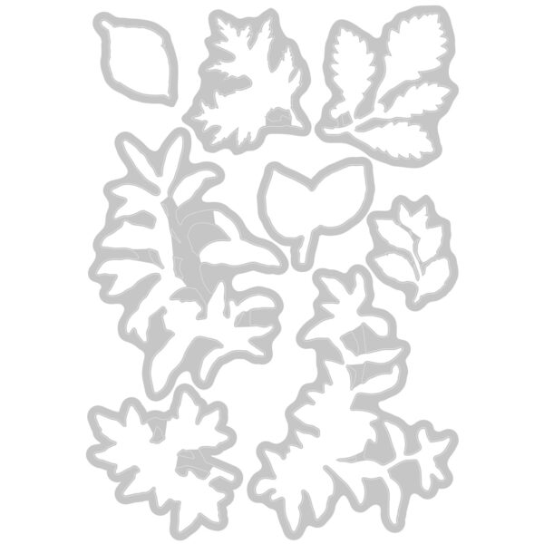 Sizzix A5 Clear Stamps 8PK w/8PK Framelits Die - Forever Leaves by 49 and Market - Image 4