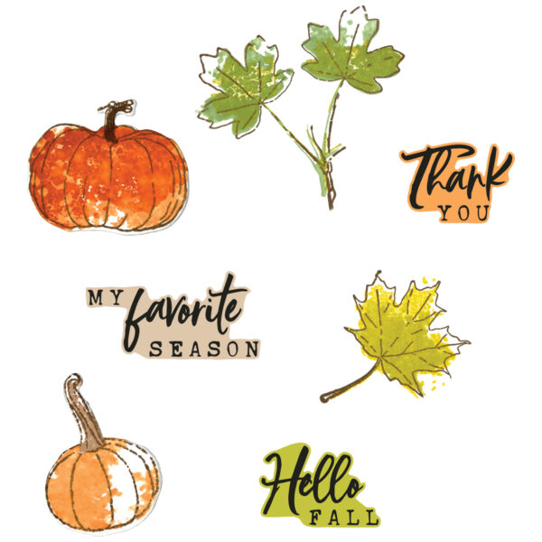 Sizzix A5 Clear Stamps 16PK w/7PK Framelits Die - Pencil Line Harvest by 49 and Market - Image 2
