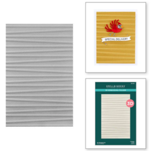 All Wrapped Up 3D Embossing Folder