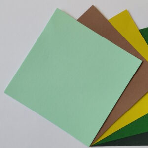Cardstock/Cover