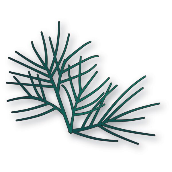 Memory Box Die – Pine Branches 94817