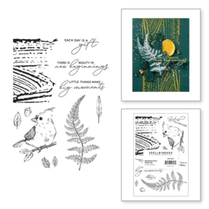 Woodland Tales Sentiments Clear Stamp Set