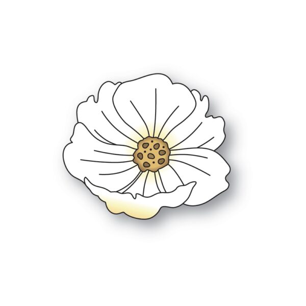 Memory Box Die – Delicate Bloom 94840
