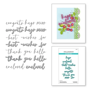 Vivid Script Sentiments Etched Dies