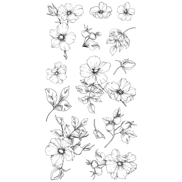 Sizzix Clear Stamps Set 13PK Wildflower Botanicals - Image 2