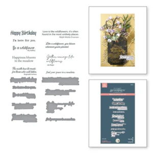 Through the Meadow Sentiments BetterPress Plate & Die Set