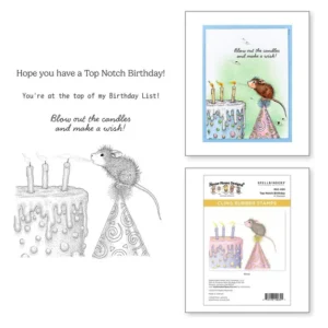 Top Notch Birthday Cling Rubber Stamp Set